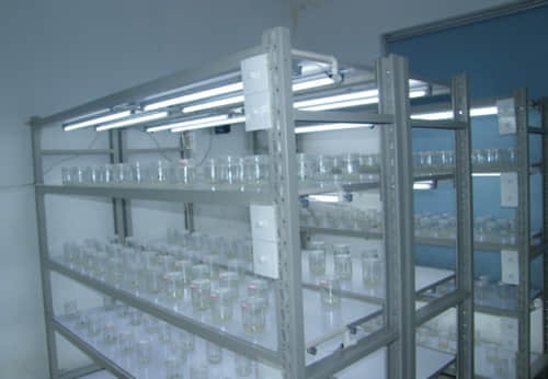 培養(yǎng)架，組培架，煉苗架