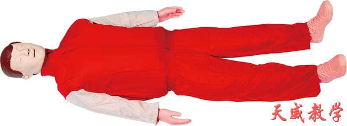 心肺復(fù)蘇模擬人(計(jì)算機(jī)控制)