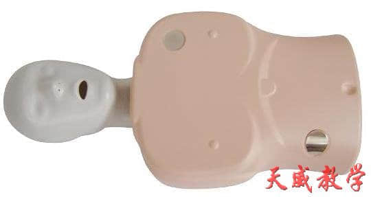 性價比最高的便宜心肺復蘇模擬人