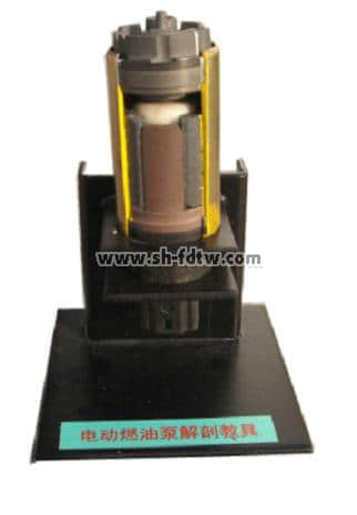 電動燃油泵解剖模型
