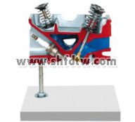 氣缸蓋解剖模型3氣門發(fā)動機(jī)