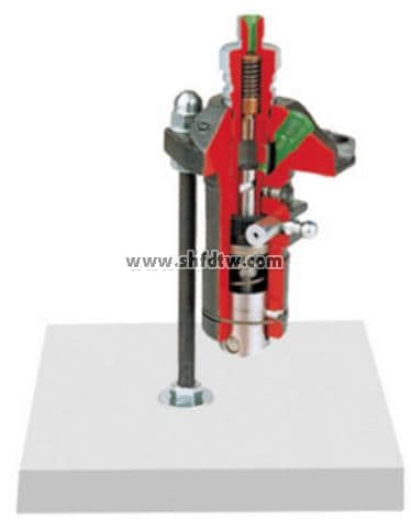 泵元件解剖模型