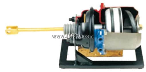 彈簧加載制動(dòng)缸解剖模型