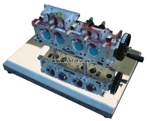 配氣機(jī)構(gòu)解剖模型